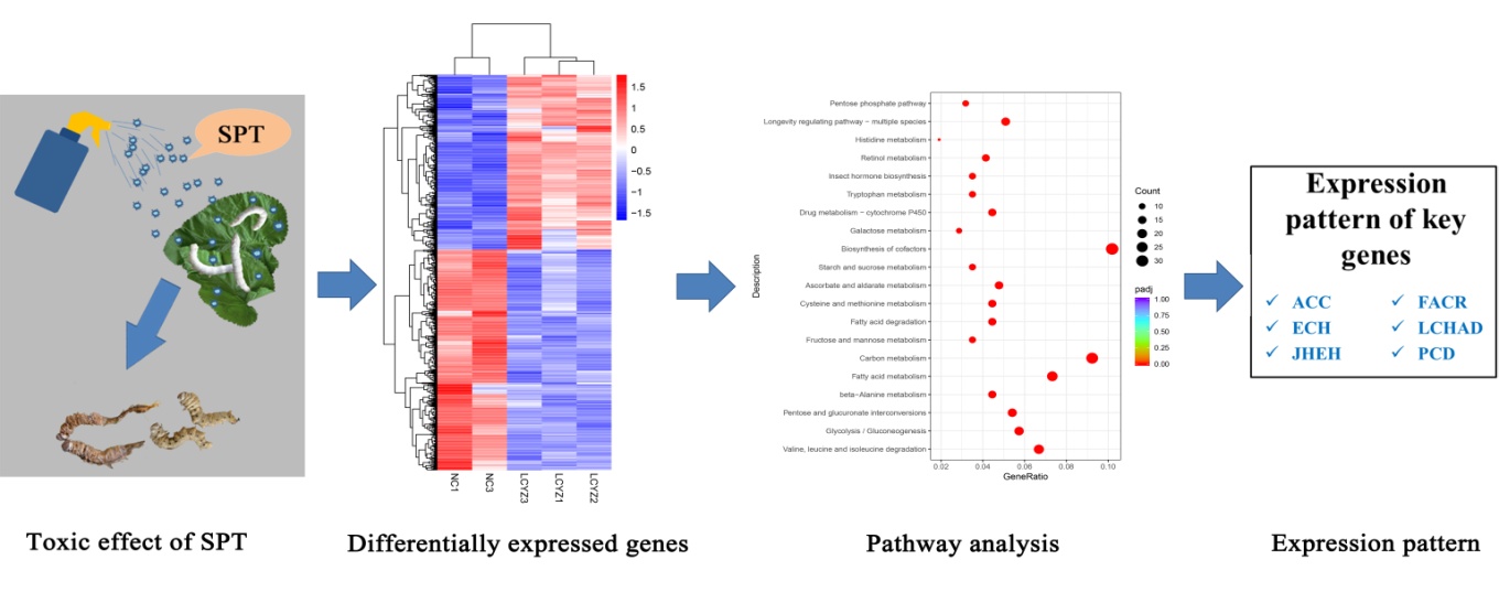 1668387024659976.jpg 图片2.jpg