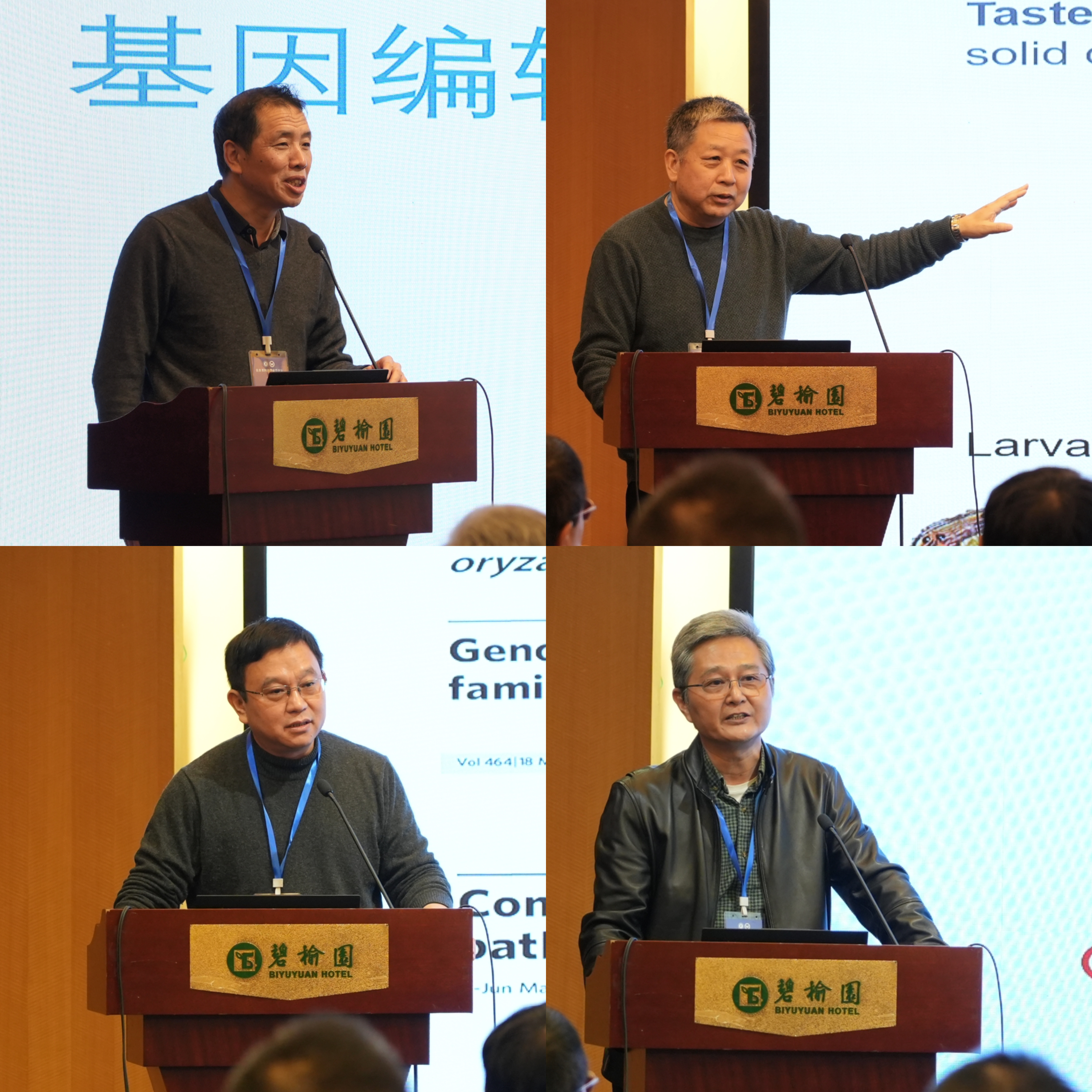 1702286943562252.jpg 01.jpg