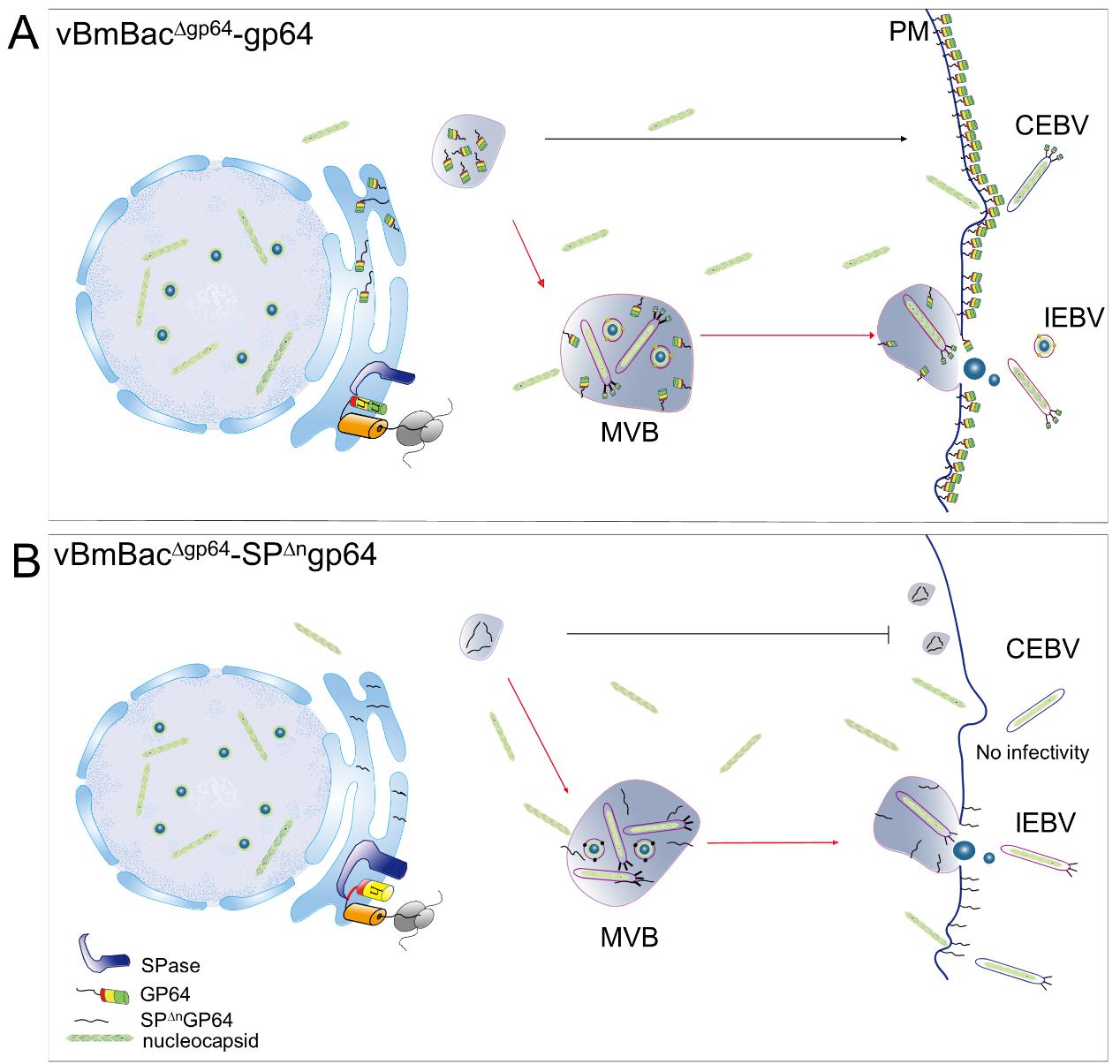 1678951357785468.jpg 图片1.jpg